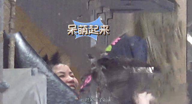 50岁王菲被小狼狗一把搂住,与谢霆锋的世纪复合再次告终?
