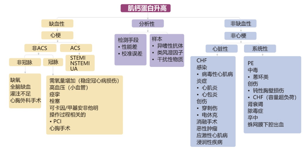 肌钙蛋白升高影响因素[1]