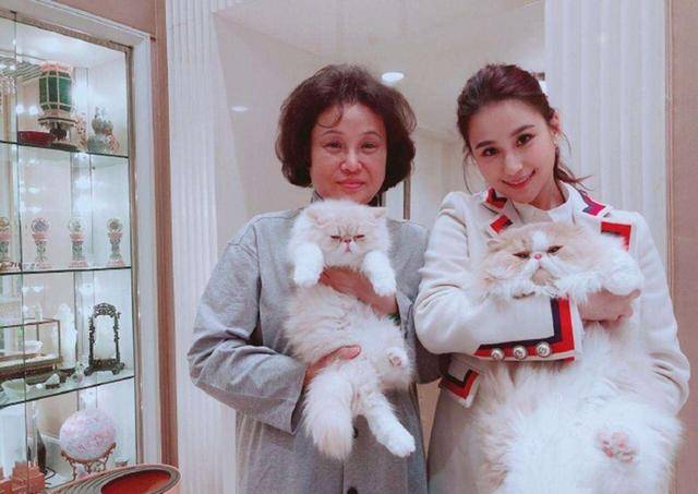 二房夺走三房的航空业务，实力再加强，想霸占