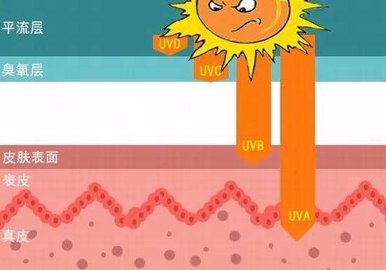 郁可唯|惊人变脸史、P图都P不出来的腿，谁能想到爆红的背后这么心酸呢...