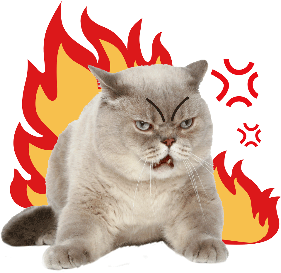 c7bc79b8251e4184a7d547c404c4d916.png