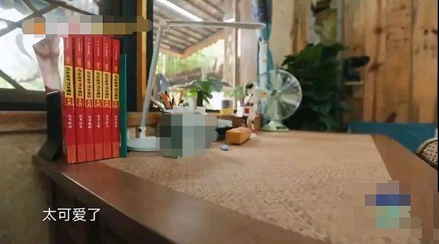 复习|原创赵今麦第一、张子枫第三，在片场复习的新生代演员们都考出好成绩