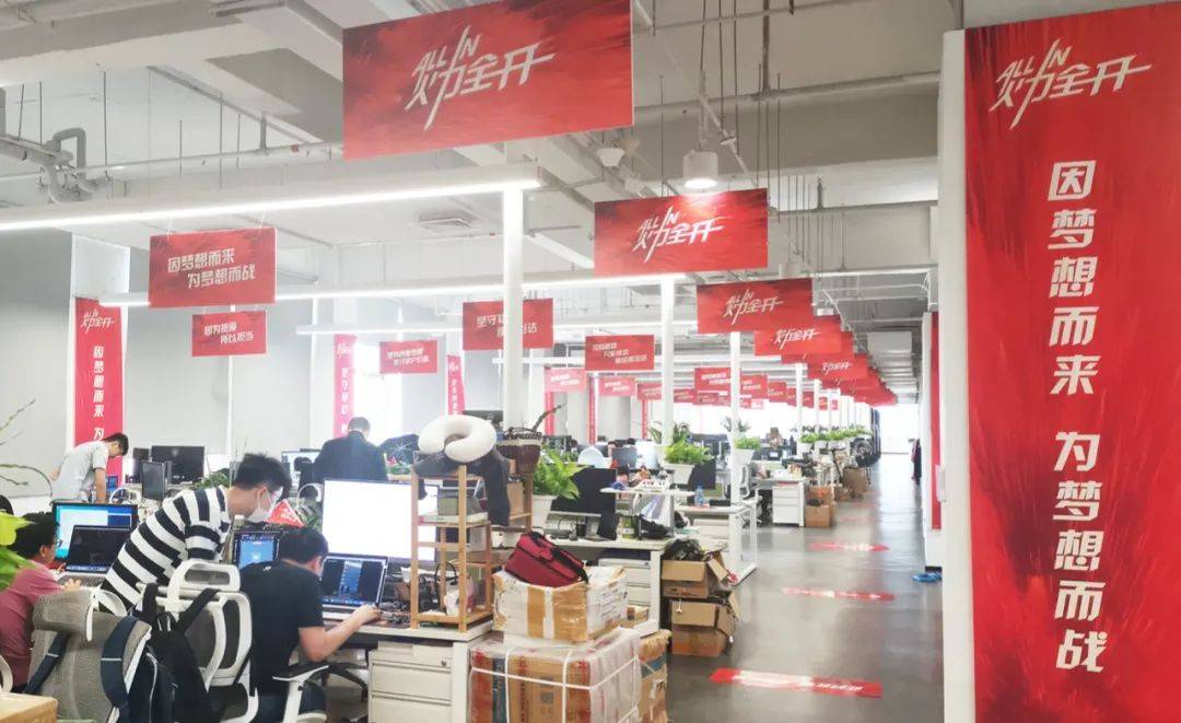 斑马|新斑马乘风破浪