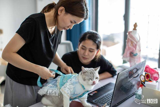 淘宝|汉服有多火？女孩在淘宝给猫做汉服月入7万！