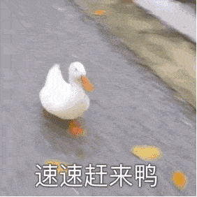 空降|原创撞脸半个娱乐圈打败张子枫拿下艺考第一，空降小花第一梯队？