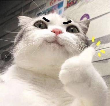 考试|高考大型转运合集！快来一起吸欧气呐！！！