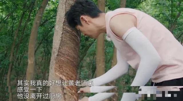 生活|《向往的生活》平淡收官,三处暴露问题所在,节目还有第五季吗?