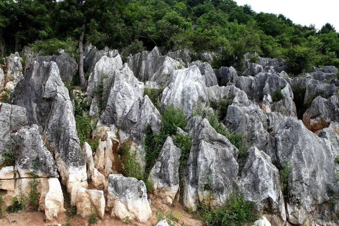 石林县有多少人口_石林国家地质公园 门口图片 石林彝族自治县景点(2)