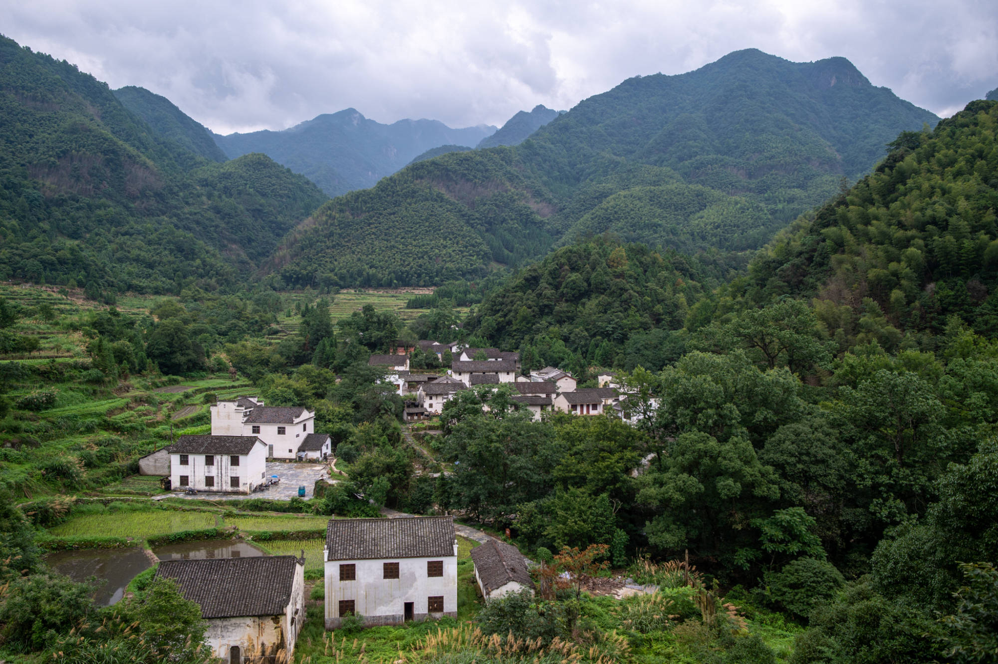 广州从化有个最美乡村，山水环绕，溪流清澈！已经成为市里人的避暑好去处！
