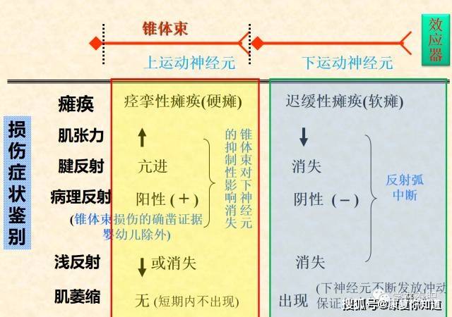 康复科面试,有绝招_运动