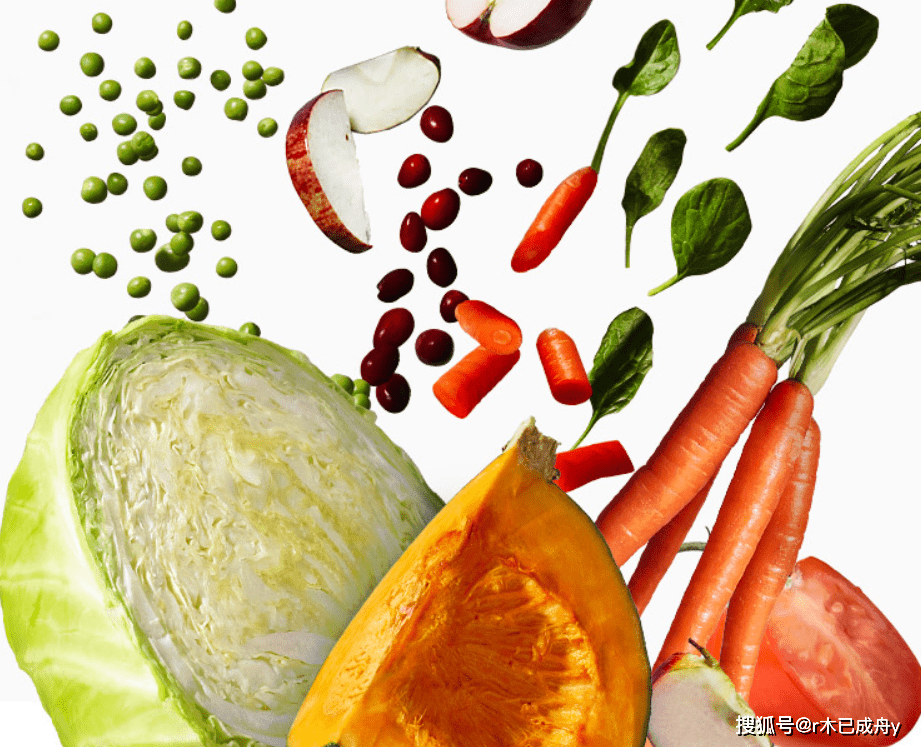 膳食是指什么 742ce57283d346a8a87a983537a59080.png