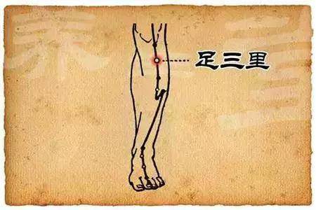 炙足三里