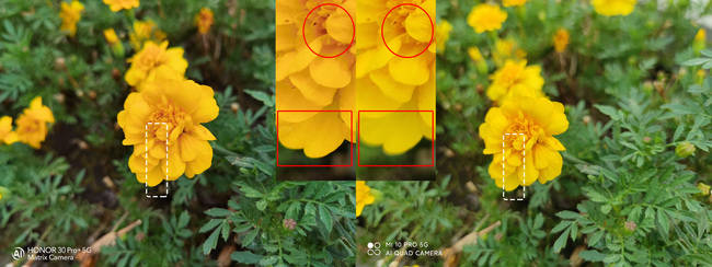 竞技|一亿像素小米10 Pro和RYYB超大底荣耀30 Pro+同台竞技，拍照谁才是真Pro？