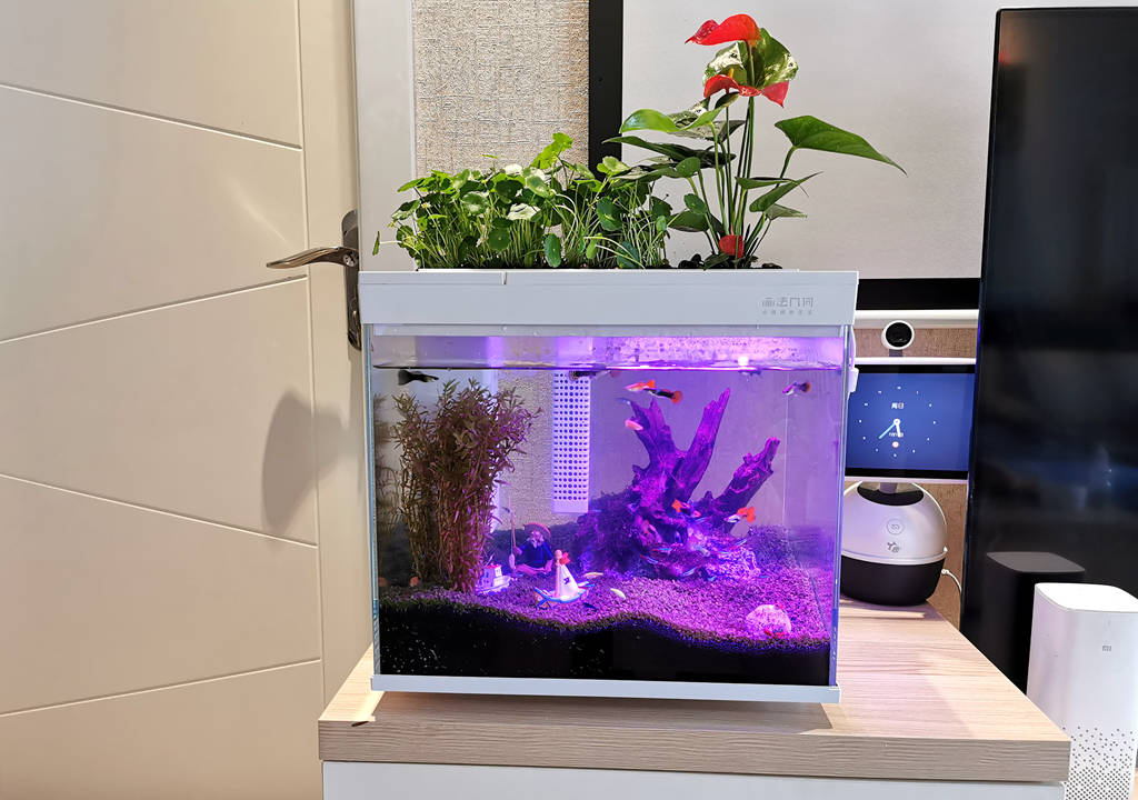 监测|哪种鱼缸更适合养鱼？画法几何AI智能鱼缸，水质监测还能自动喂食