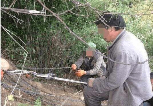 几根木头怎么搭火堆_男生的小几几(2)