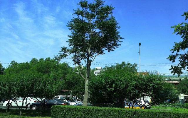 目标|考研目标学校还没定？快来看看这几点点建议