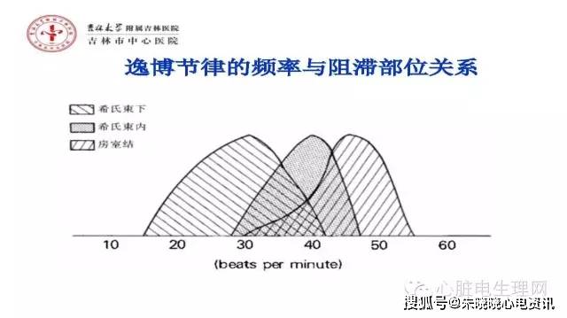 锥体外系反应能恢复正常吗 e07edd897285430ab27add4e876f3c3d.jpeg