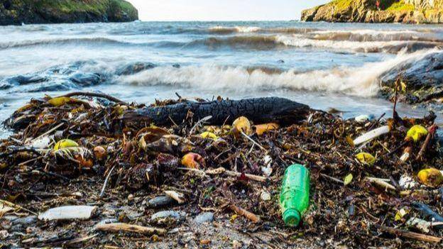 塑料污染若20年不变地球环境将充斥13亿吨塑料