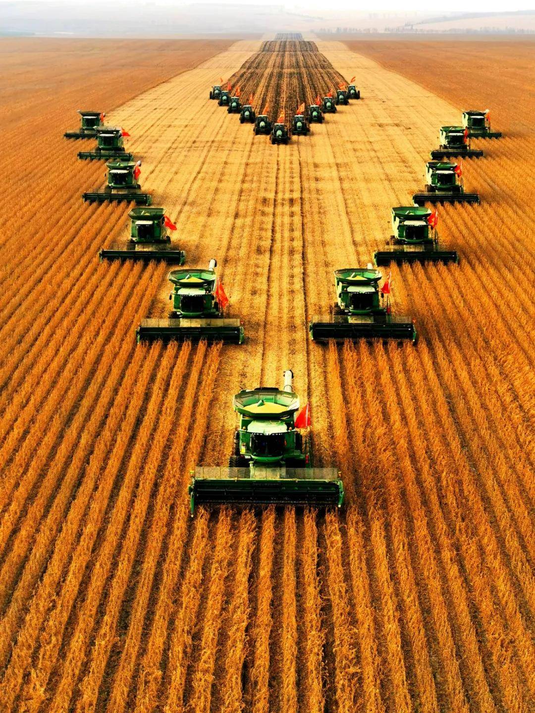 碧桂园在北大荒打造全球首个超万亩无人化农场__标杆网