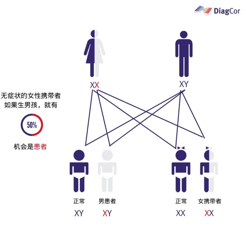 达雅高推出脆性x综合征携带基因筛查测试_患者