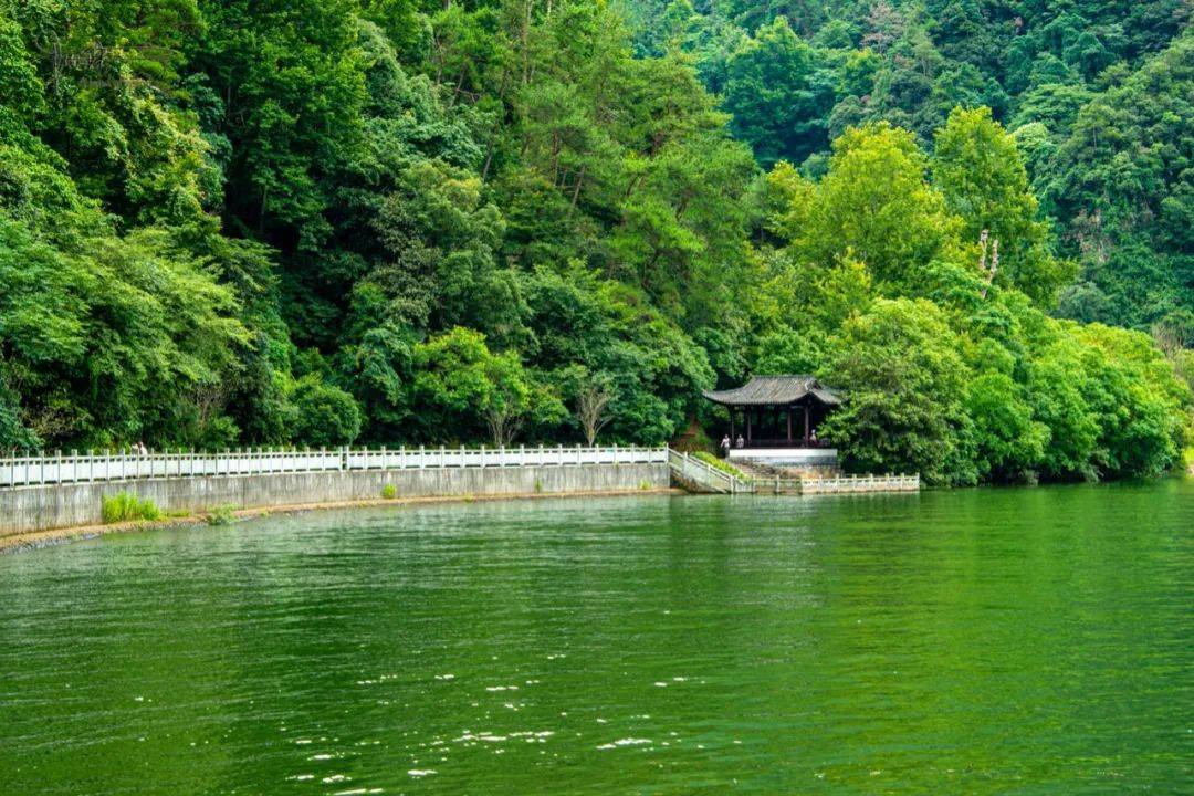 原创五泄风景区的青山绿水在夏日格外招摇,容易让人流连忘返