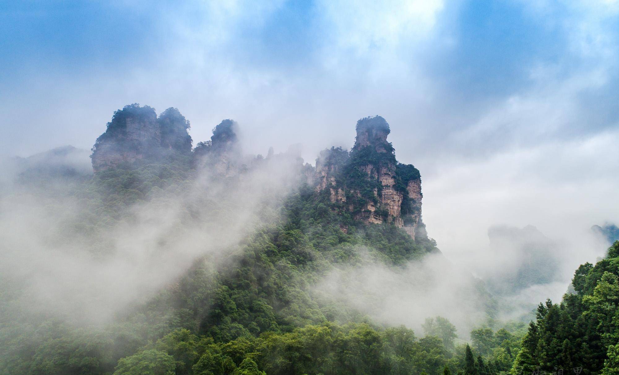 原创张家界武陵源景区云海翻腾,云雾环绕在黛青色山峦间,美成了仙境