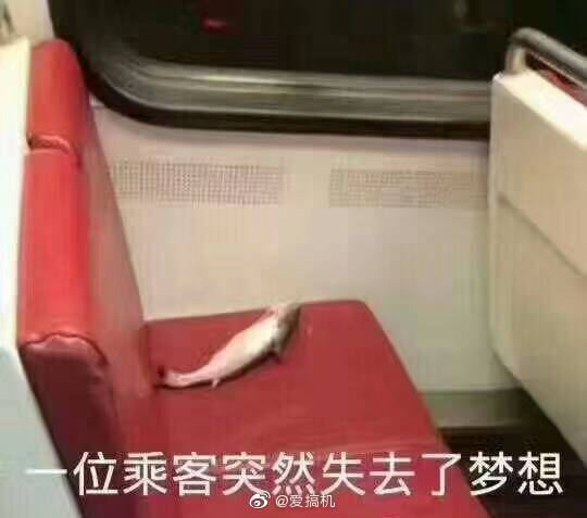 iPhone|超小屏福音！iPhone 12系列屏幕与刘海对比爆料