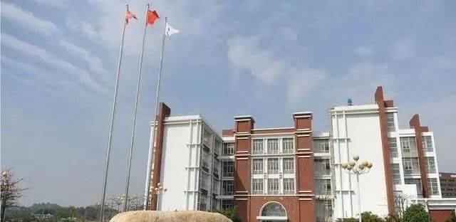 2020广东专科大学排名_2020年粤港澳大湾区高校排名:45所高校上榜,华南理工(2)