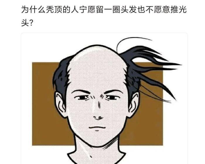 说的也是很有道理的,毕竟有那么一撮毛在,就有可能长出头发来.