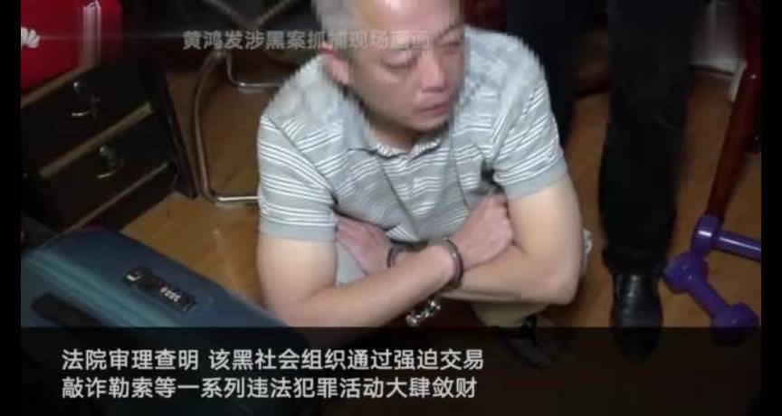 海南黑老大黄鸿发被执行死刑涉案财产达20多亿元