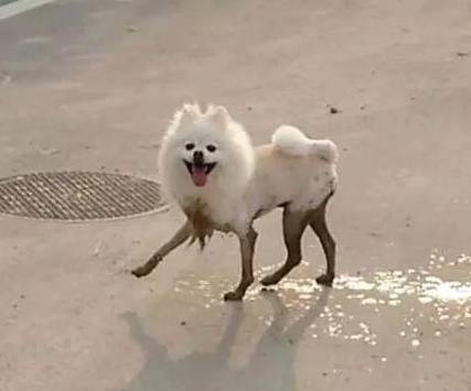 6728c91eeb5d48f095eb874c13ff9cf4.jpeg