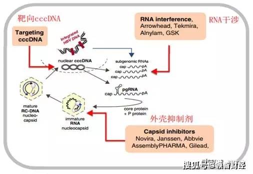 药物原理是什么_美莎是什么药物(2)