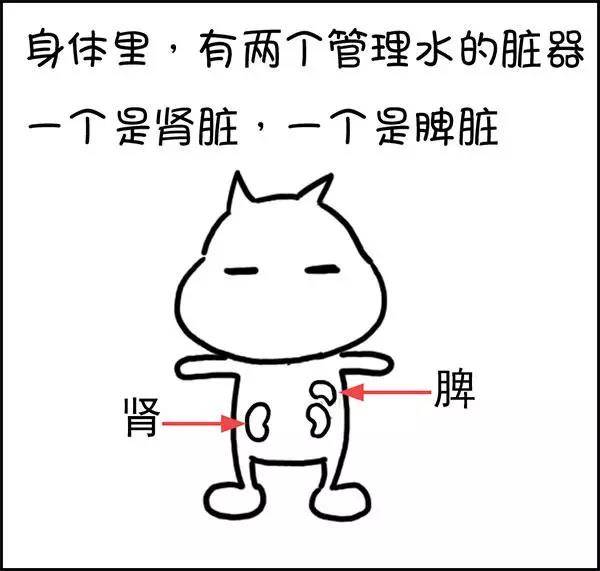 什么|湿气到底是什么？——长胖的罪魁祸首！！