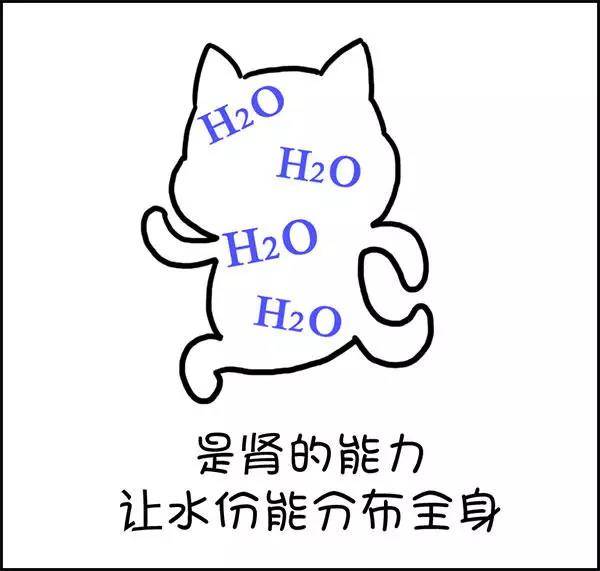 什么|湿气到底是什么？——长胖的罪魁祸首！！