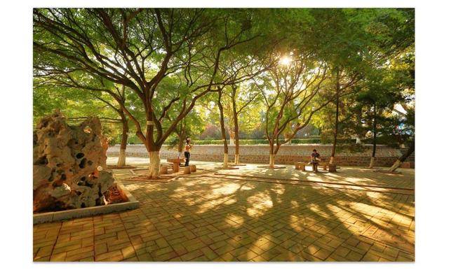 版图|济南多为女掌门人山东民办大学版图：已为公办院校一半