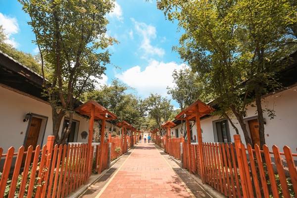 陕西旅游|避暑、游玩一个不能少 ，解锁铜川旅游免费景区新玩法！