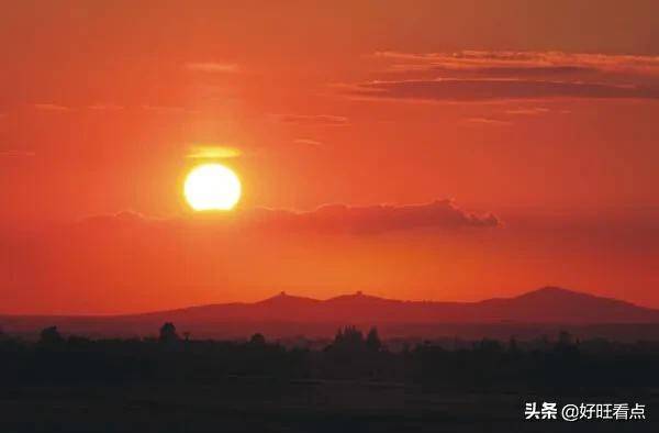 消息资讯|梁纪委：将歌声勇敢献给天地万物