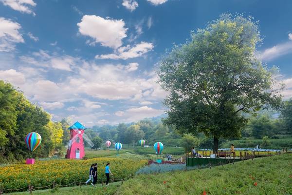 陕西旅游|避暑、游玩一个不能少 ，解锁铜川旅游免费景区新玩法！