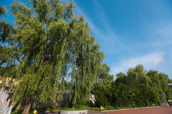 陕西旅游|避暑、游玩一个不能少 ，解锁铜川旅游免费景区新玩法！