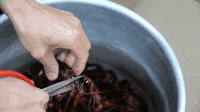 343c22d4c7d947b8adb9b32536bb92d5.gif