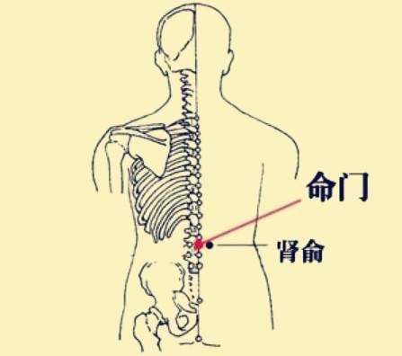 取穴:关元,肾俞,太溪,命门(命门为于督脉而督脉是总督一身之阳脉