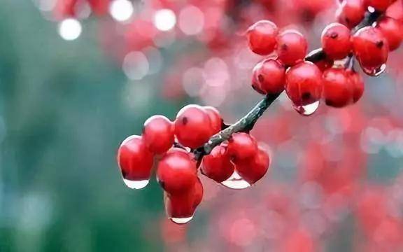 2b5f7339c0ce490cae2843663b3b5962.jpeg