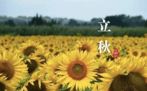 立秋的日子好不好