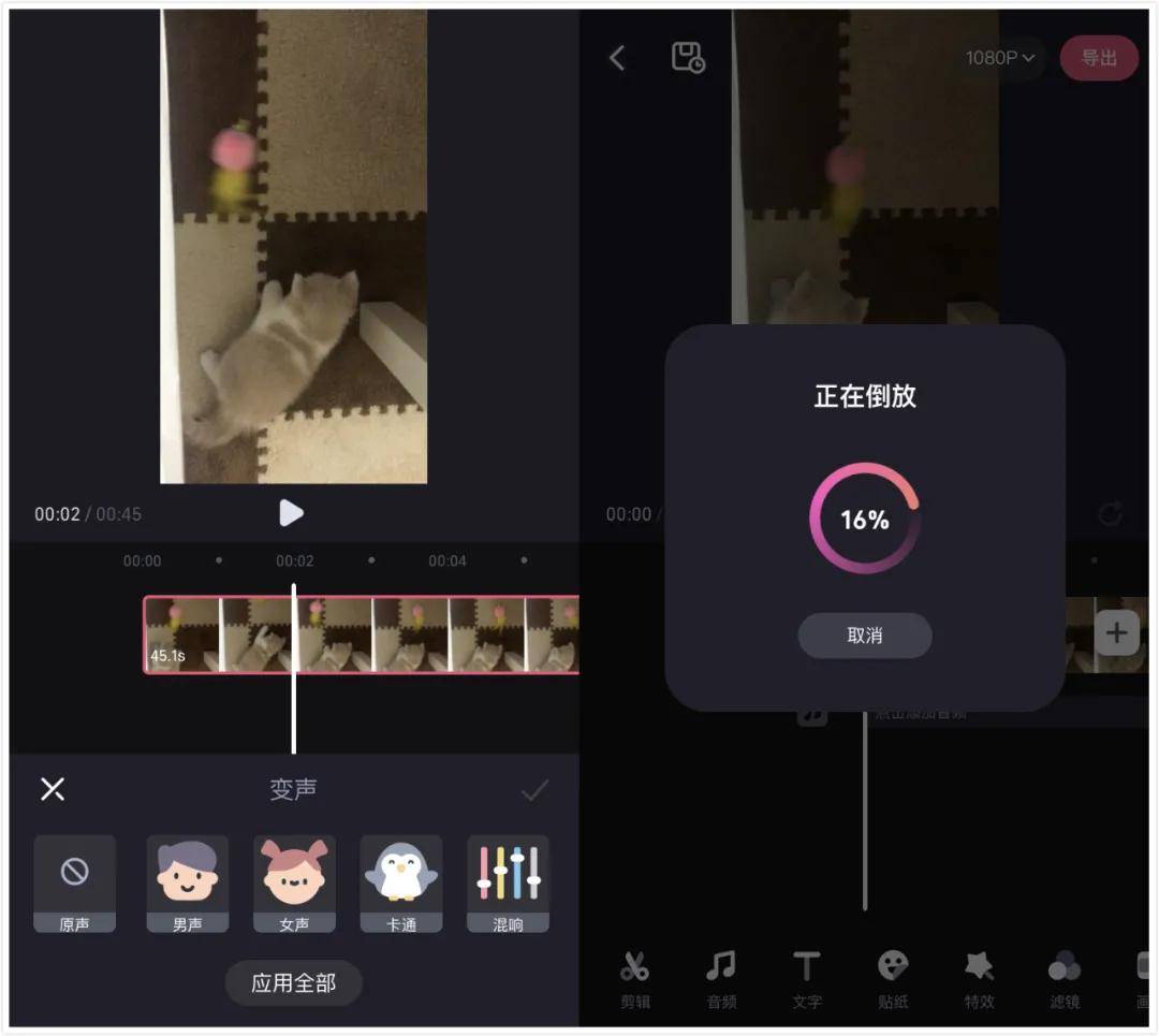 视频|重磅！微信视频号PC端终于来了！