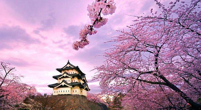 中青|高考后如何留学日本-中青留学专业分享