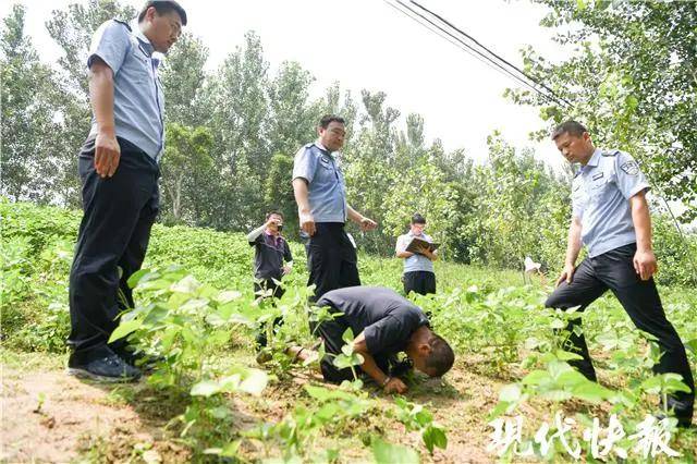 双梨树老店人口失踪案_梨树开花图片(2)