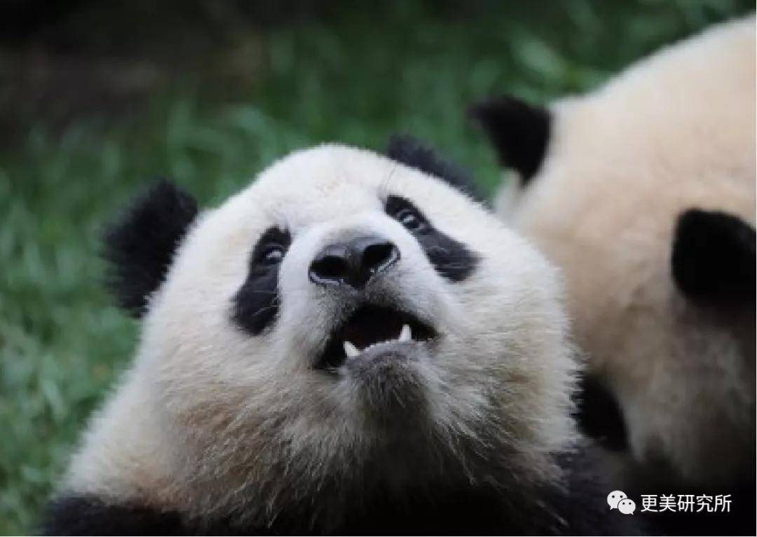 fa|2020最违和女主，收割霸道总裁的颜值就靠这？