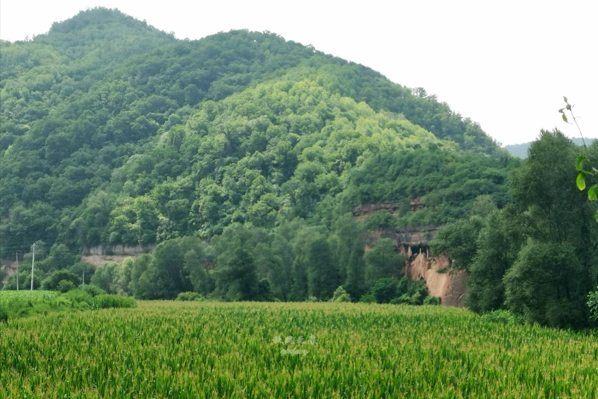 旬邑(|旬邑三水河两岸悬崖峭壁上,一个个精致崖居让人震撼