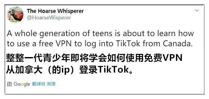 美国“后浪”怒了：你封TikTok，我们就翻墙！