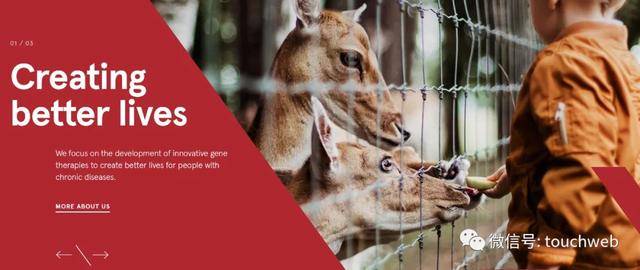 疗法|基因疗法企业Freeline冲刺美股：拟募资过亿美元 路演PPT曝光